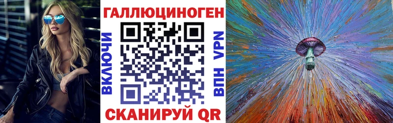 Псилоцибиновые грибы мухоморы  где найти   сайты даркнета официальный сайт  Гудермес 