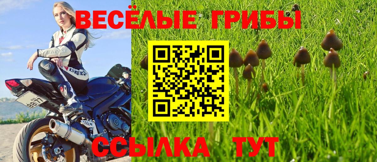Галлюциногенные грибы MAGIC MUSHROOMS  Галлюциногенные грибы Psilocybine cubensis  Вход с VPN  Гудермес 