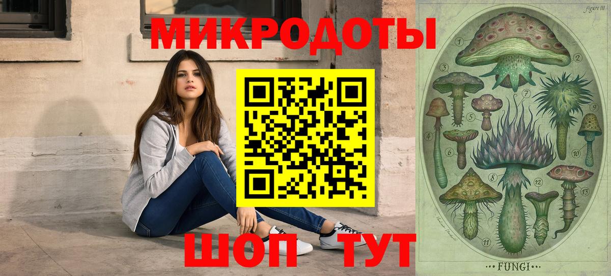 Псилоцибиновые грибы ЛСД Гудермес