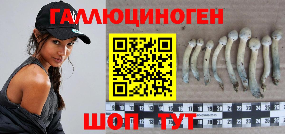 Галлюциногенные грибы MAGIC MUSHROOMS  Псилоцибиновые грибы ЛСД  Гудермес 